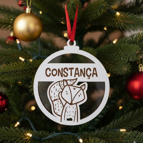 Bola de natal personalizada Guaxinim